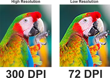 Color for Printed Books